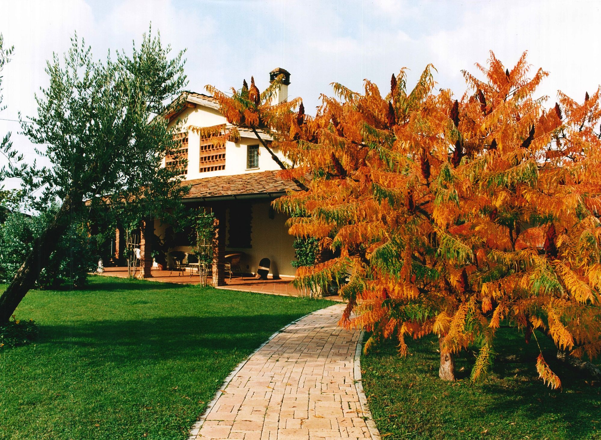 IMPRESSIONI DI TERRACOTTA